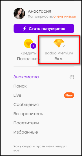 Баду премиум включен