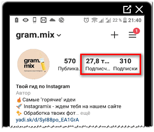 Подписки и подписчики в профиле Инстаграма